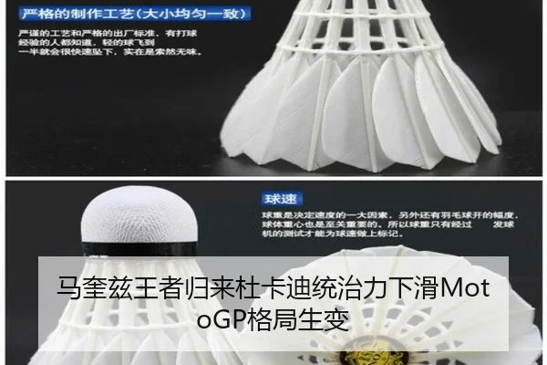 ma-kui-zi-wang-zhe-gui-lai-du-ka-di-tong-zhi-li-xia-hua-ge-ju-sheng-bian-2-258.jpg