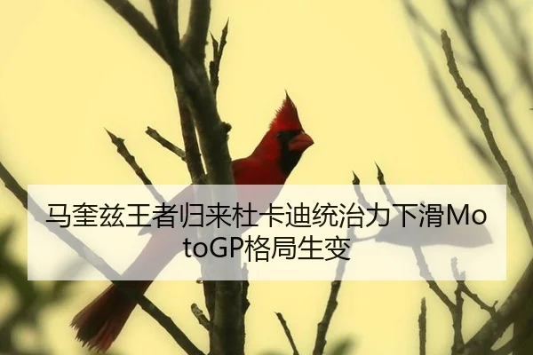 ma-kui-zi-wang-zhe-gui-lai-du-ka-di-tong-zhi-li-xia-hua-ge-ju-sheng-bian-3-744.jpg