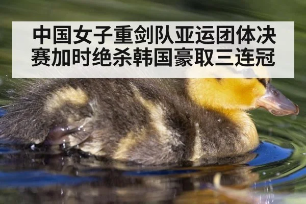 中国女子重剑队亚运团体决赛加时绝杀韩国豪取三连冠